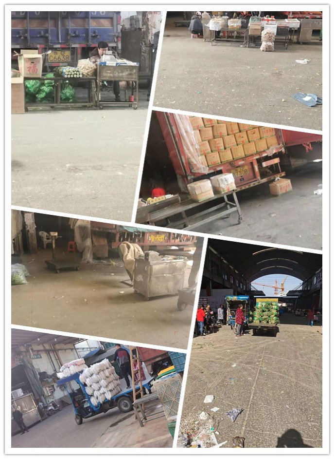 必发7790(中国区)电子集团-线上平台登录入口