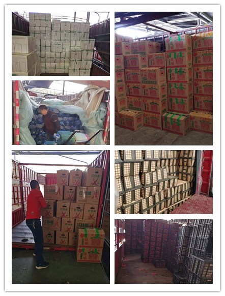 必发7790(中国区)电子集团-线上平台登录入口