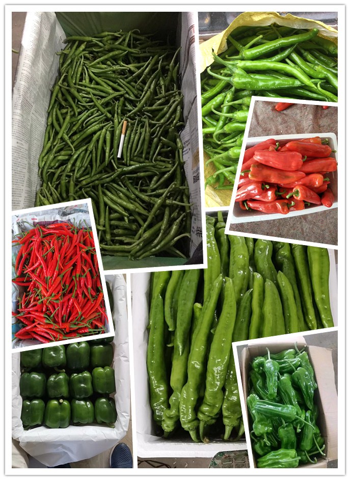 必发7790(中国区)电子集团-线上平台登录入口