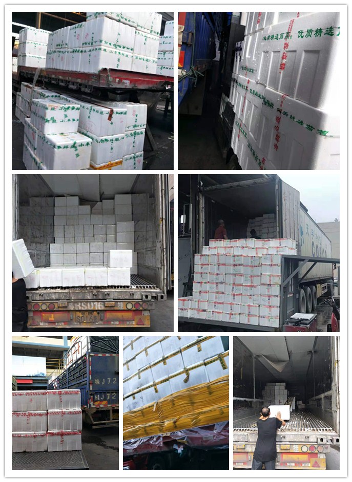 必发7790(中国区)电子集团-线上平台登录入口