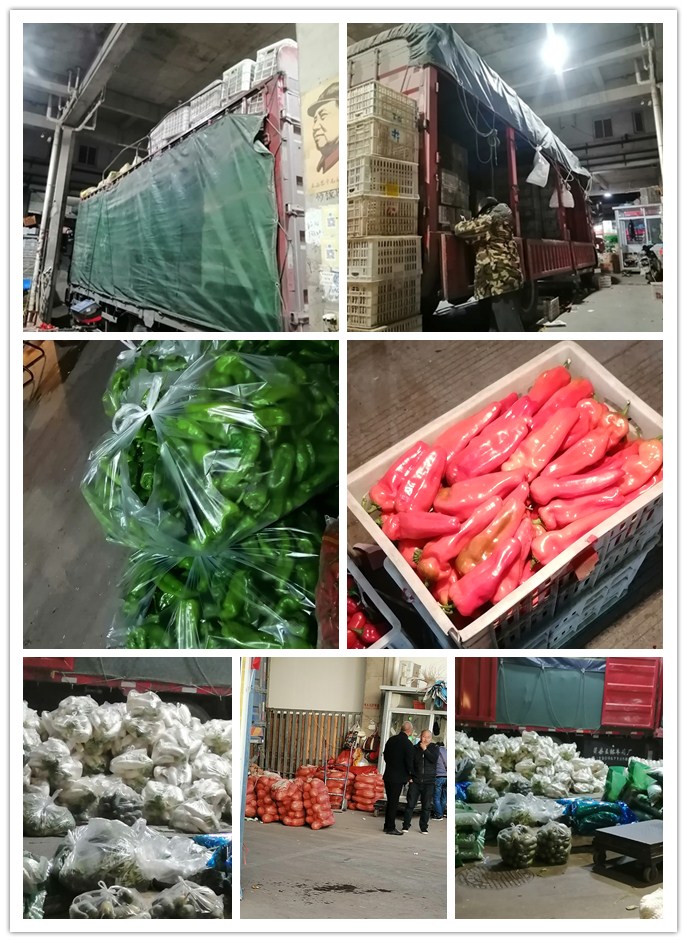 必发7790(中国区)电子集团-线上平台登录入口