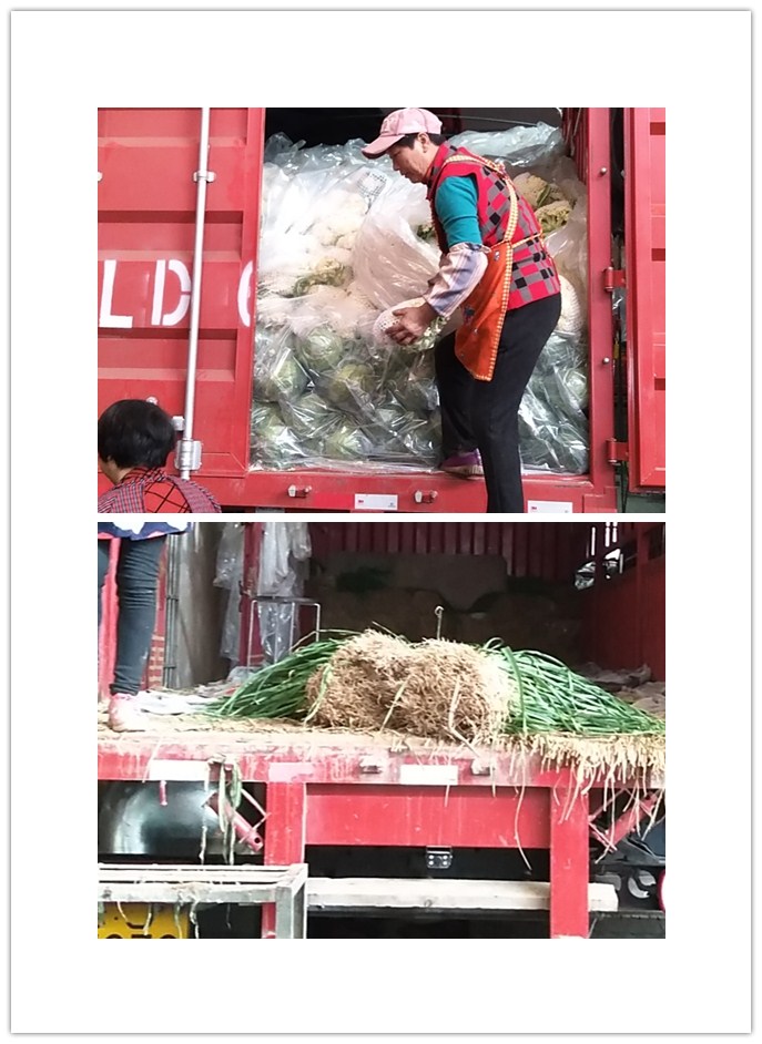 必发7790(中国区)电子集团-线上平台登录入口