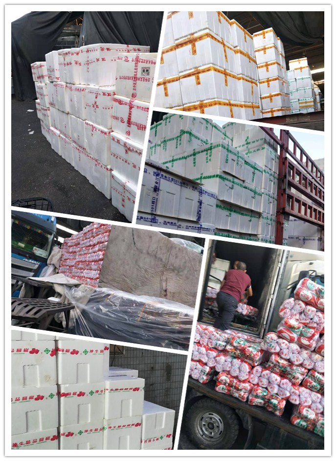 必发7790(中国区)电子集团-线上平台登录入口