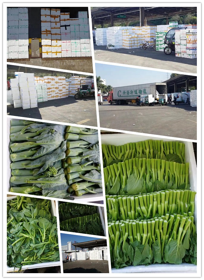 必发7790(中国区)电子集团-线上平台登录入口