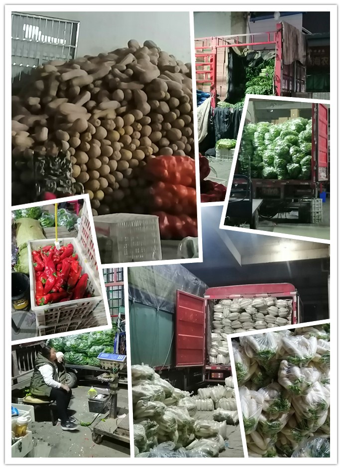 必发7790(中国区)电子集团-线上平台登录入口