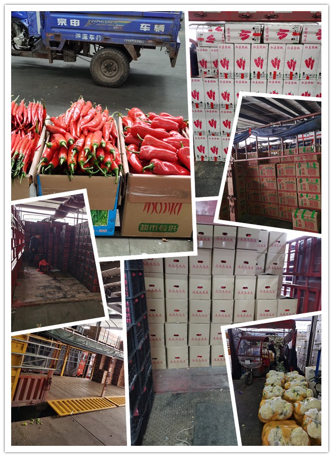 必发7790(中国区)电子集团-线上平台登录入口