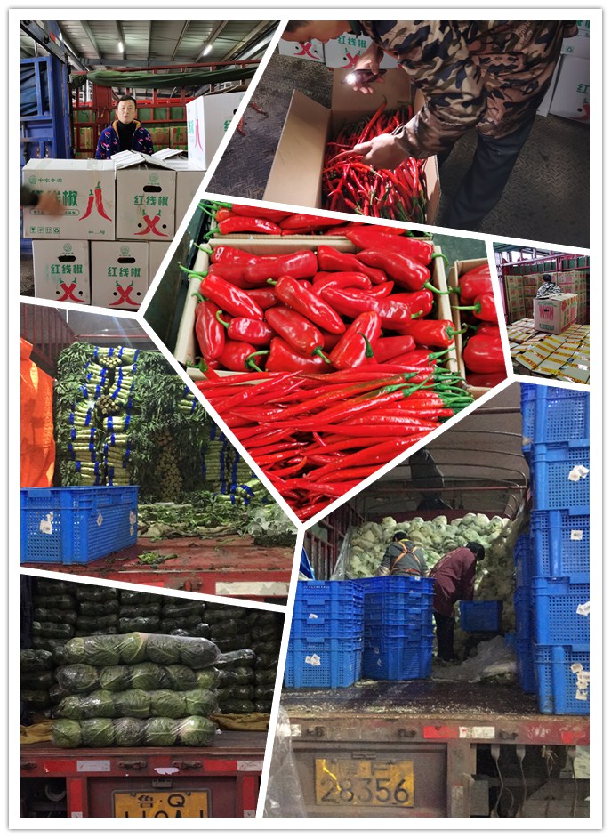 必发7790(中国区)电子集团-线上平台登录入口