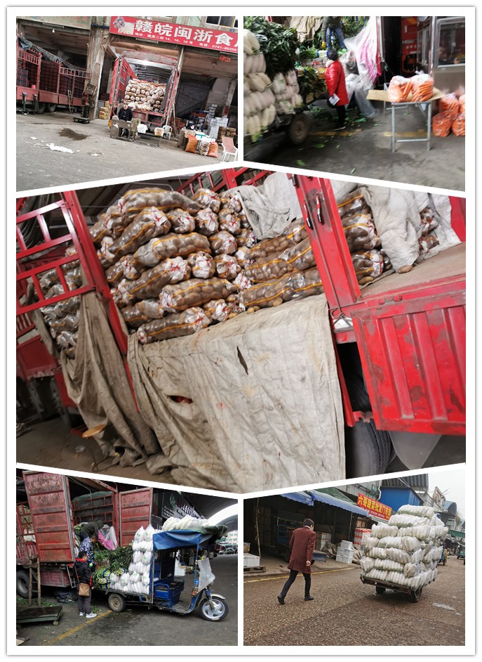 必发7790(中国区)电子集团-线上平台登录入口