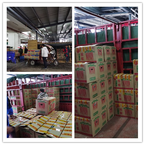 必发7790(中国区)电子集团-线上平台登录入口