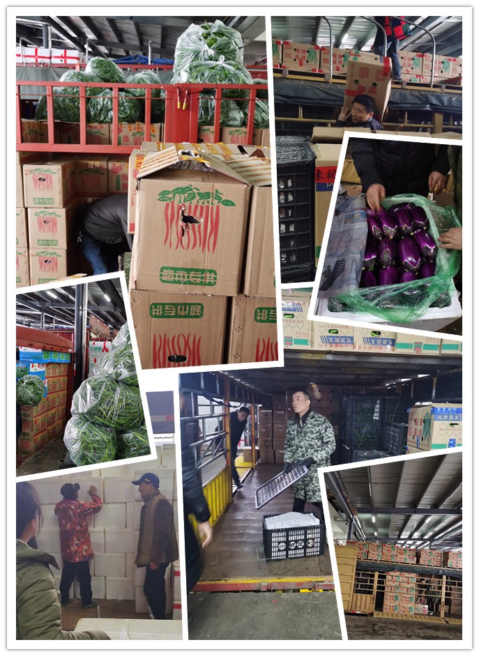 必发7790(中国区)电子集团-线上平台登录入口