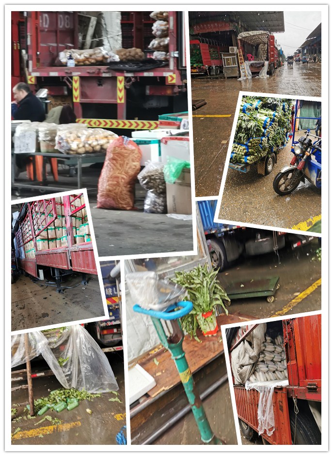 必发7790(中国区)电子集团-线上平台登录入口