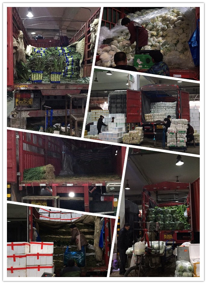 必发7790(中国区)电子集团-线上平台登录入口