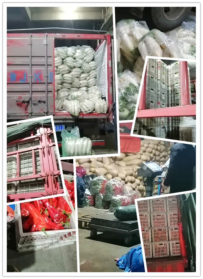 必发7790(中国区)电子集团-线上平台登录入口