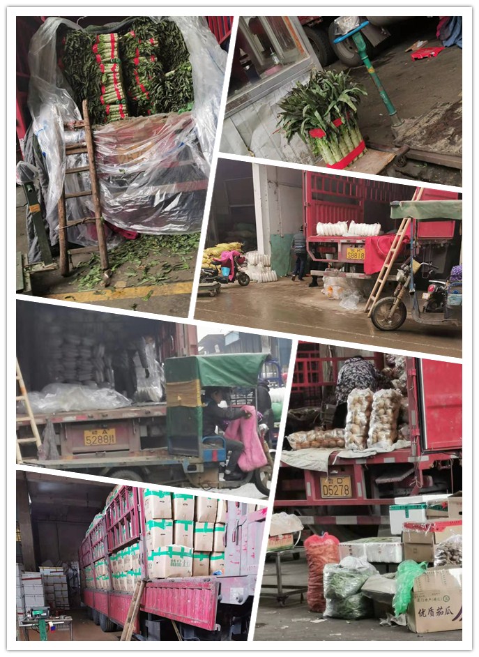 必发7790(中国区)电子集团-线上平台登录入口