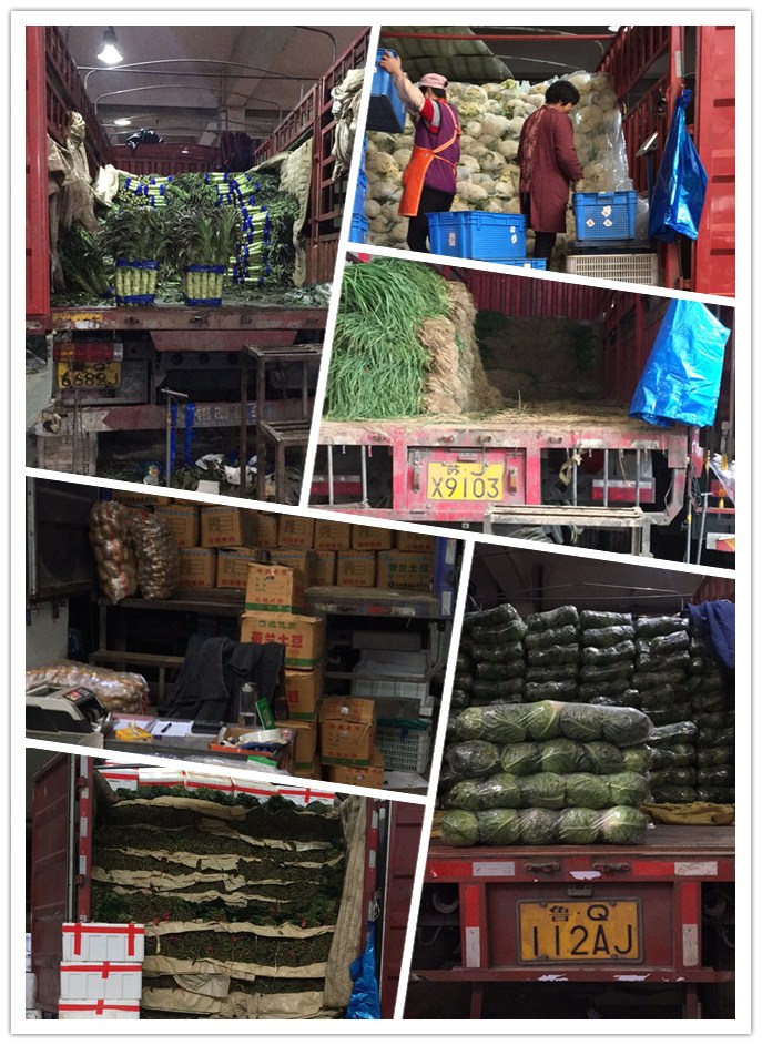 必发7790(中国区)电子集团-线上平台登录入口