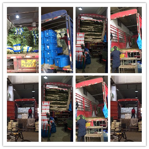 必发7790(中国区)电子集团-线上平台登录入口