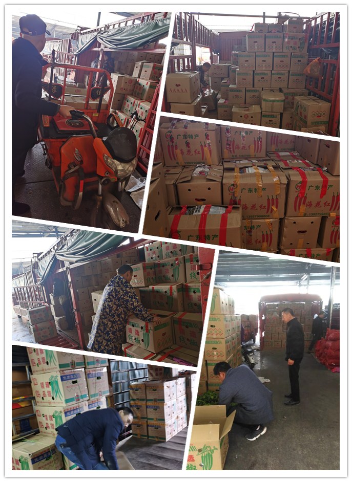 必发7790(中国区)电子集团-线上平台登录入口