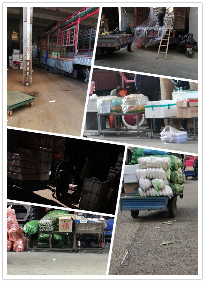 必发7790(中国区)电子集团-线上平台登录入口