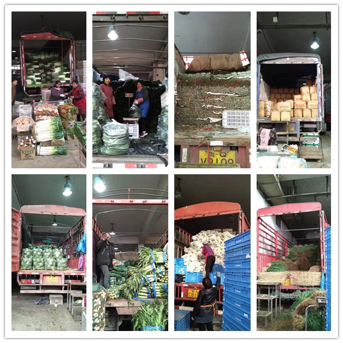 必发7790(中国区)电子集团-线上平台登录入口