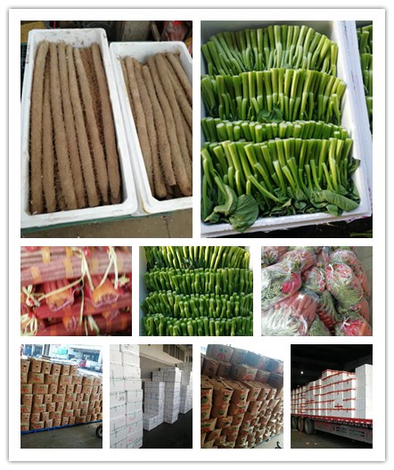 必发7790(中国区)电子集团-线上平台登录入口