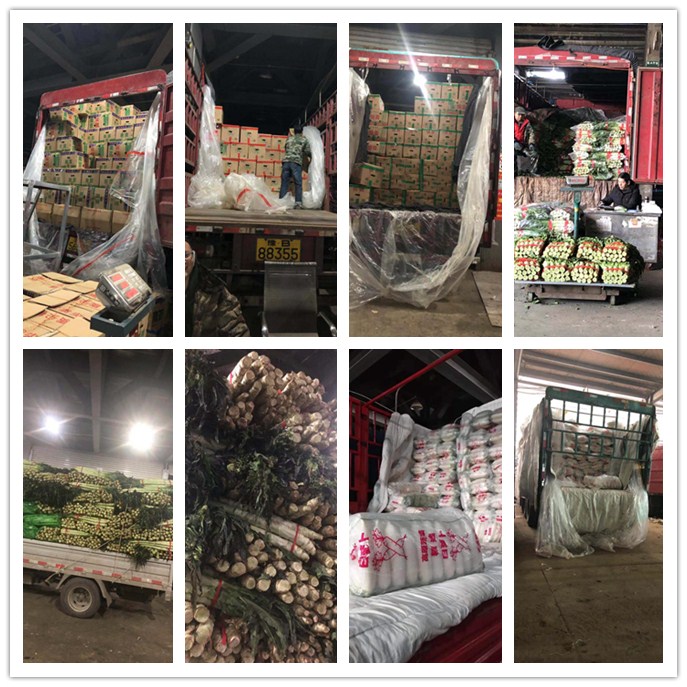 必发7790(中国区)电子集团-线上平台登录入口