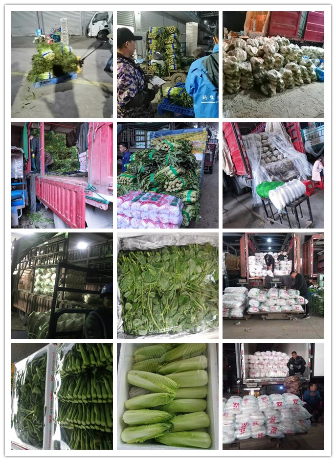 必发7790(中国区)电子集团-线上平台登录入口