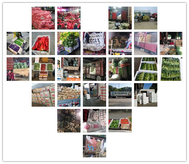 必发7790(中国区)电子集团-线上平台登录入口