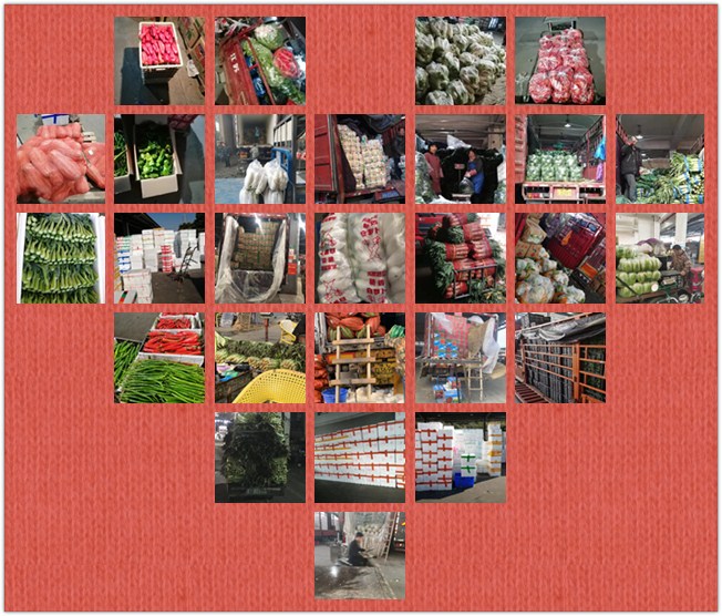 必发7790(中国区)电子集团-线上平台登录入口