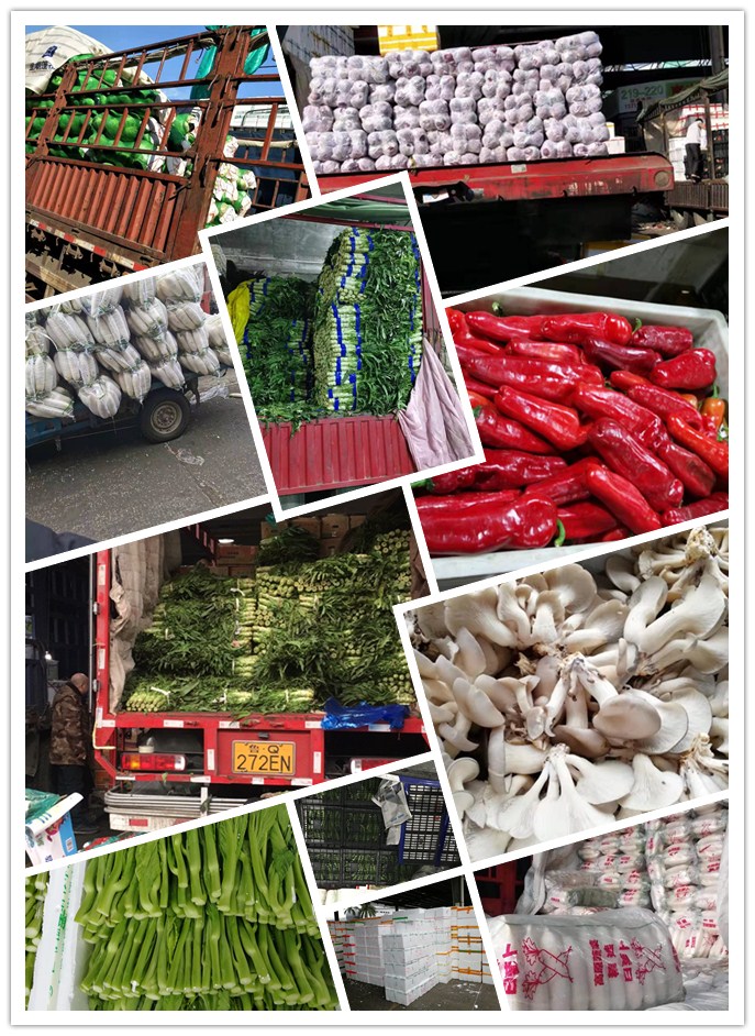 必发7790(中国区)电子集团-线上平台登录入口