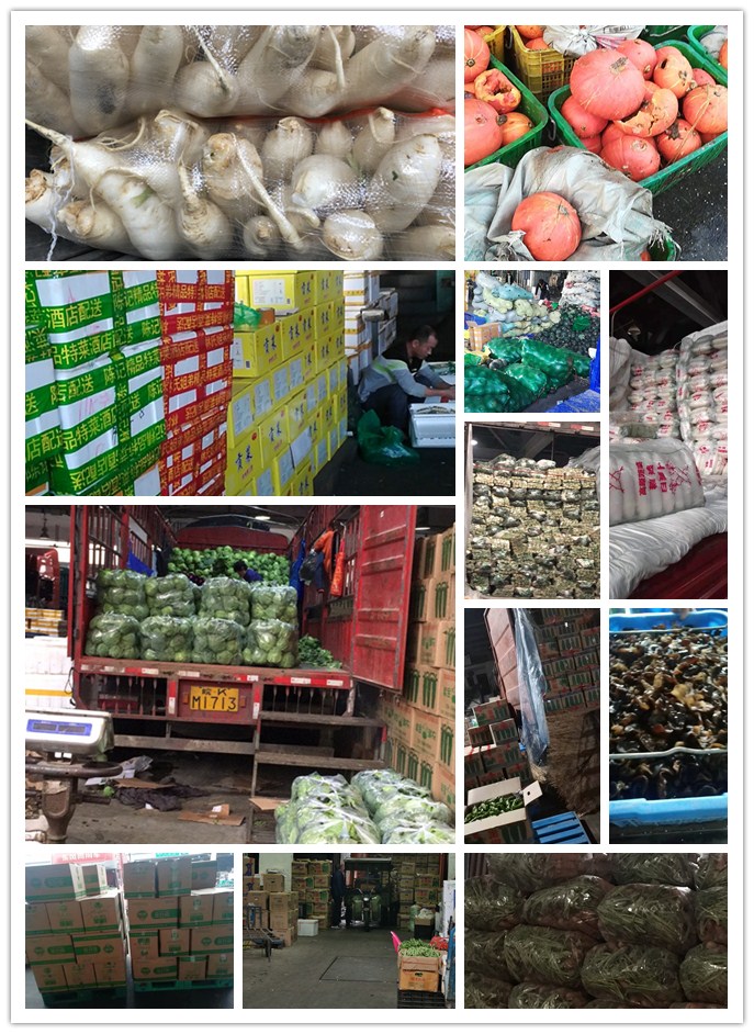 必发7790(中国区)电子集团-线上平台登录入口