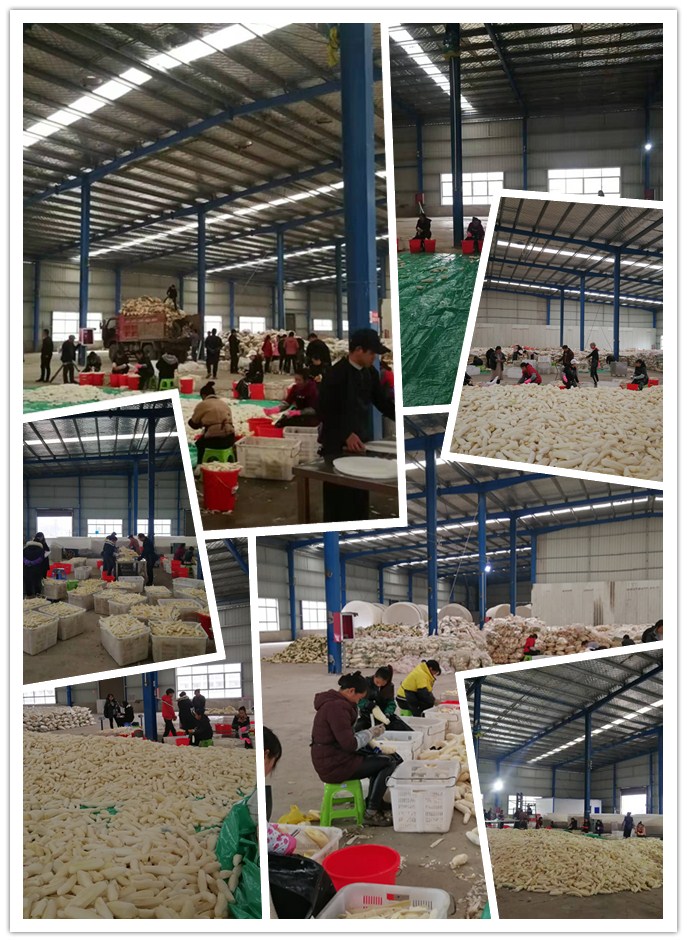 必发7790(中国区)电子集团-线上平台登录入口