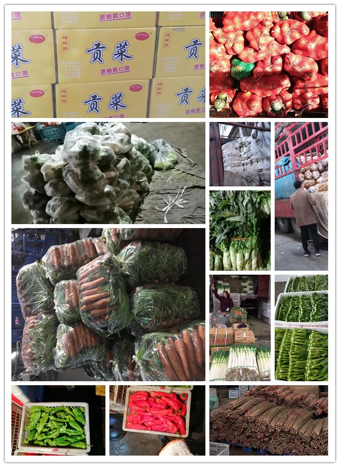 必发7790(中国区)电子集团-线上平台登录入口