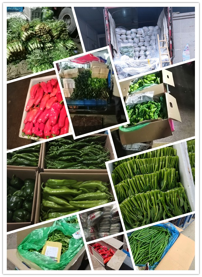 必发7790(中国区)电子集团-线上平台登录入口