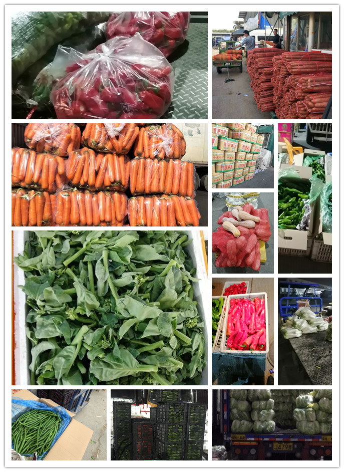 必发7790(中国区)电子集团-线上平台登录入口