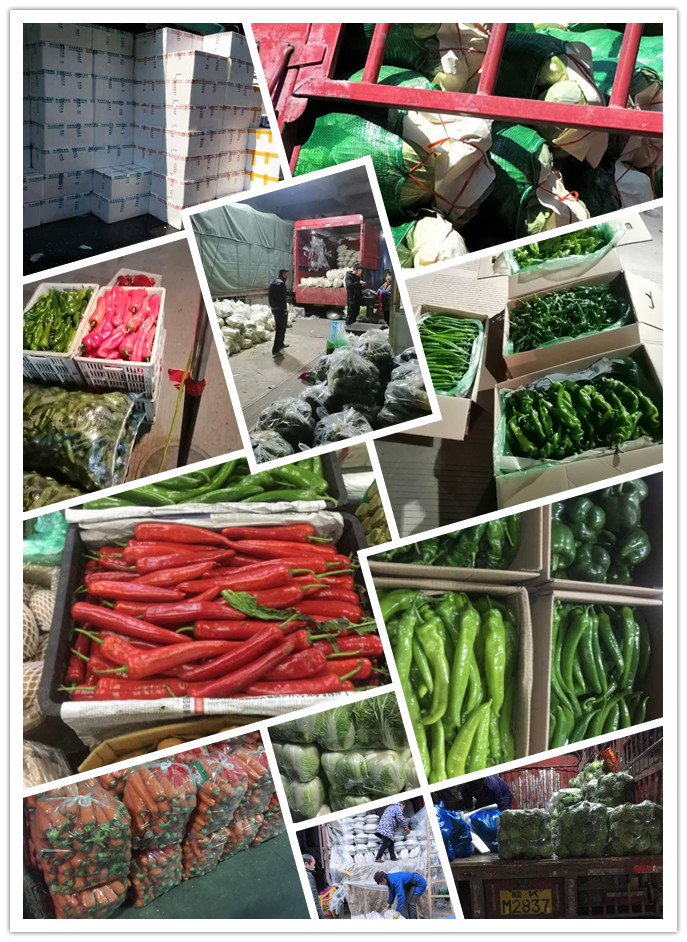 必发7790(中国区)电子集团-线上平台登录入口