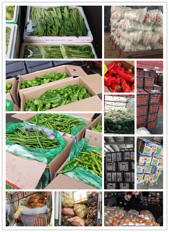 必发7790(中国区)电子集团-线上平台登录入口