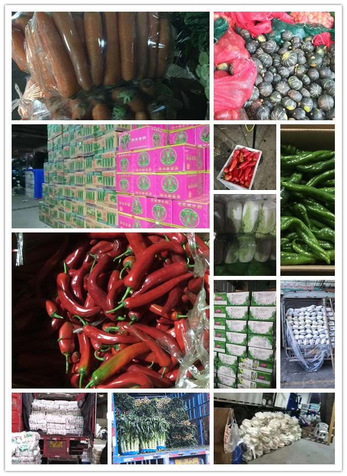 必发7790(中国区)电子集团-线上平台登录入口