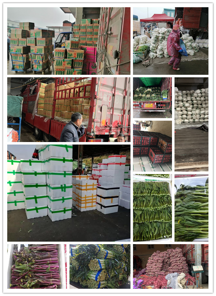 必发7790(中国区)电子集团-线上平台登录入口