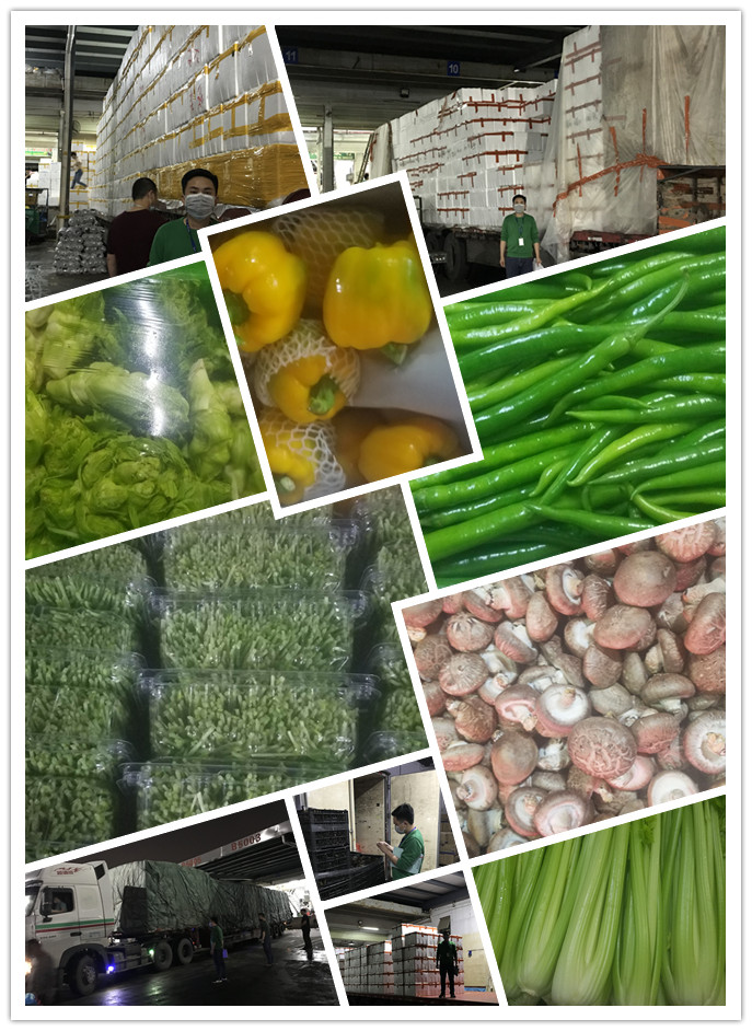 必发7790(中国区)电子集团-线上平台登录入口