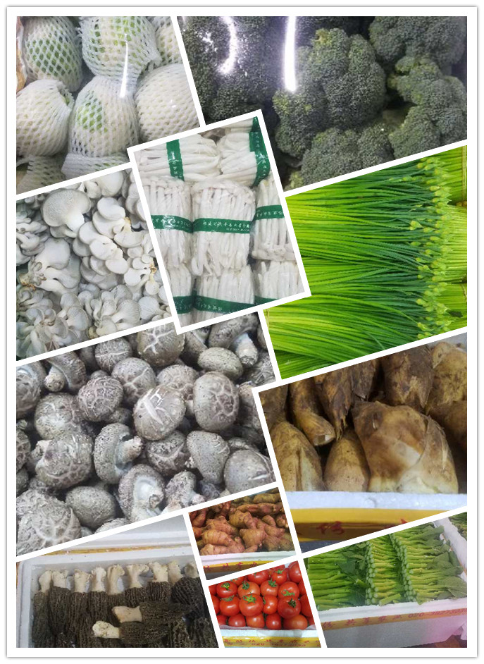 必发7790(中国区)电子集团-线上平台登录入口