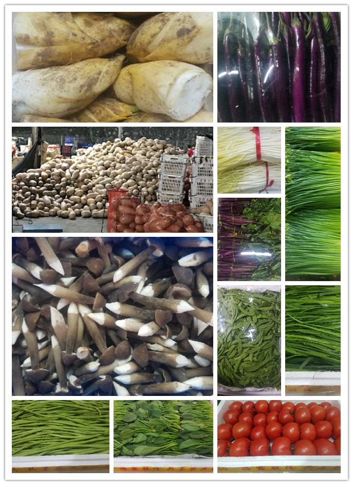 必发7790(中国区)电子集团-线上平台登录入口