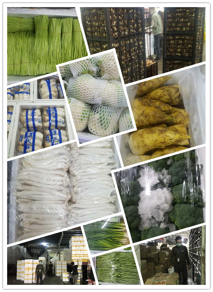 必发7790(中国区)电子集团-线上平台登录入口