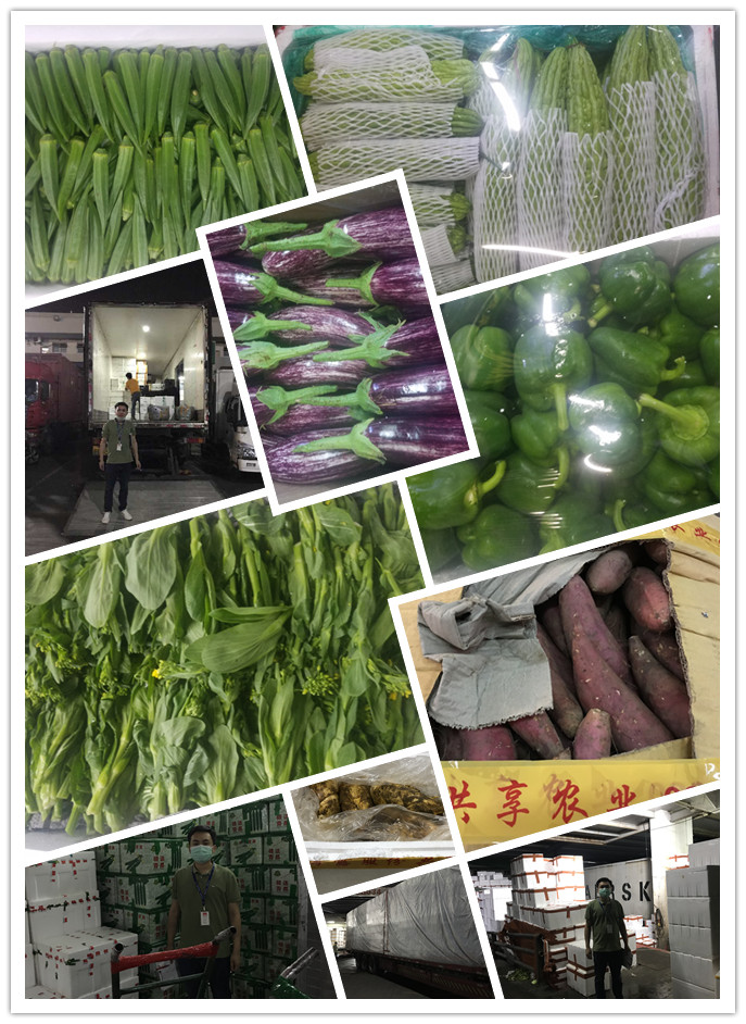 必发7790(中国区)电子集团-线上平台登录入口