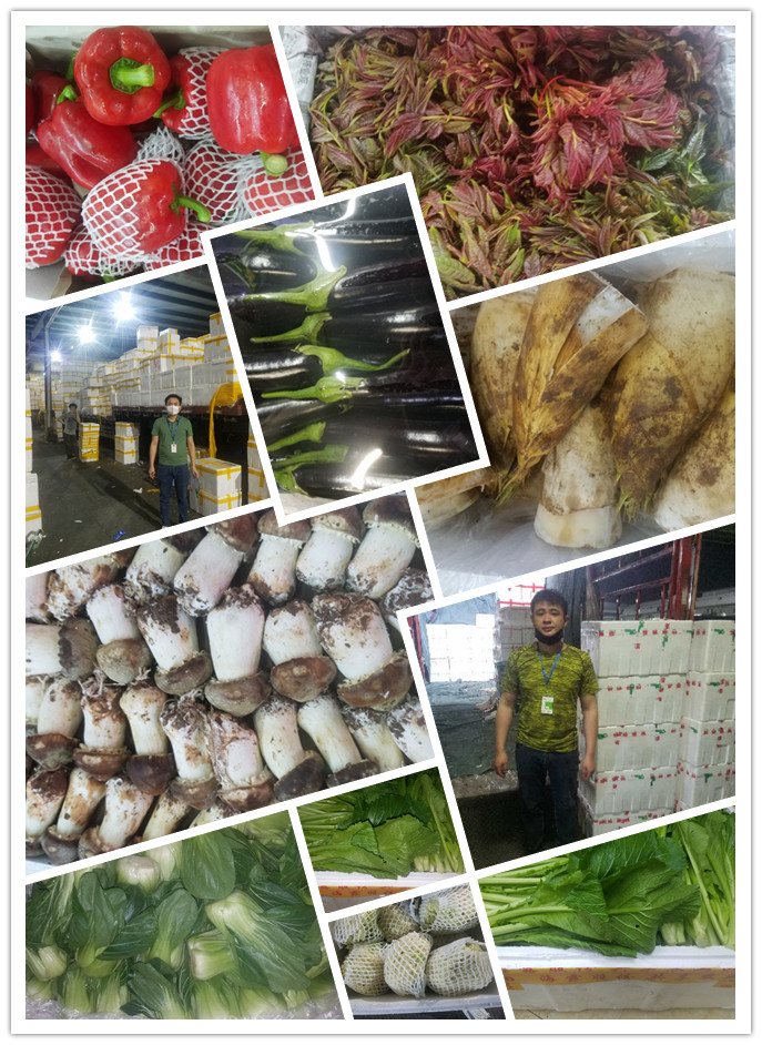 必发7790(中国区)电子集团-线上平台登录入口