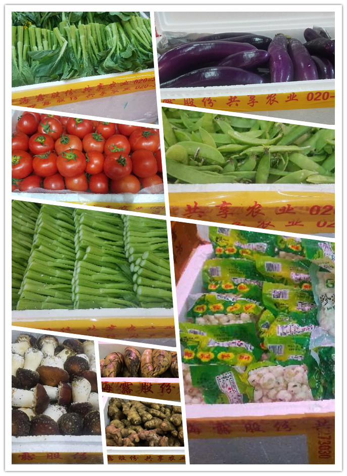 必发7790(中国区)电子集团-线上平台登录入口