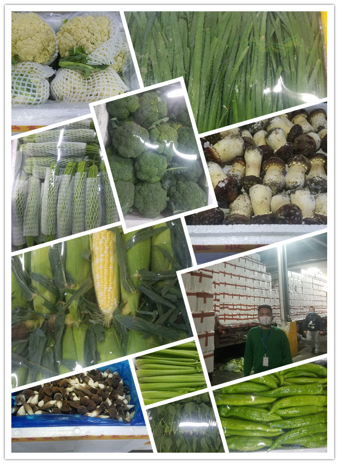 必发7790(中国区)电子集团-线上平台登录入口