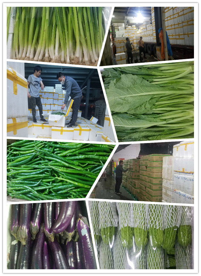 必发7790(中国区)电子集团-线上平台登录入口