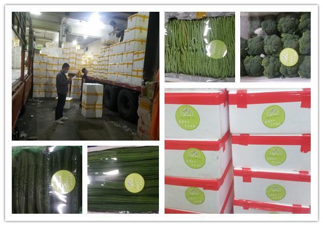 必发7790(中国区)电子集团-线上平台登录入口