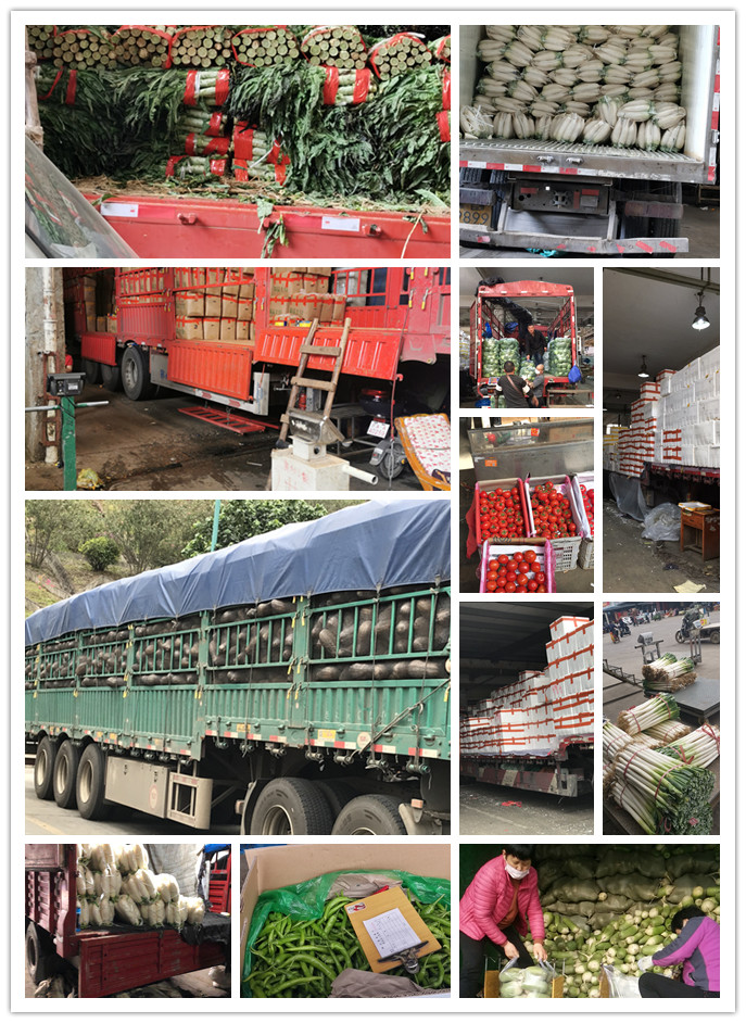 必发7790(中国区)电子集团-线上平台登录入口