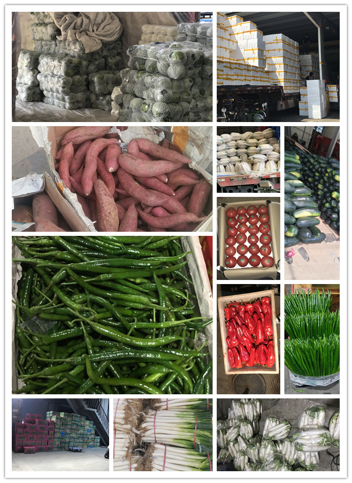 必发7790(中国区)电子集团-线上平台登录入口